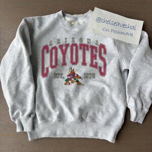 Vintage Arizona Coyotes Hockey Sweatshirt, 90s NHL Arizona Coyotes Shirt Tee